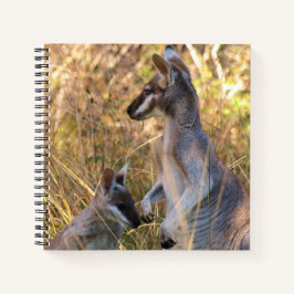 Journal mit Koala und Wallabies in Australien Notizblock