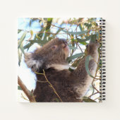Journal mit Koala und Wallabies in Australien Notizblock (Rückseite)