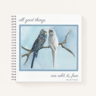 Journal Note Birds Budgies Sketch Buch schreiben T