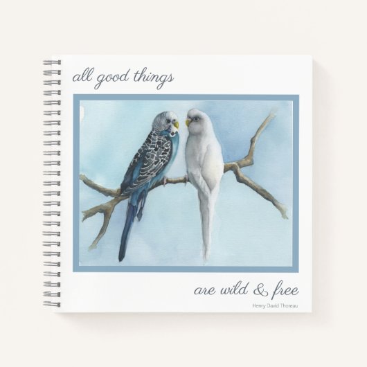 Journal Note Birds Budgies Sketch Buch schreiben T (Vorderseite)