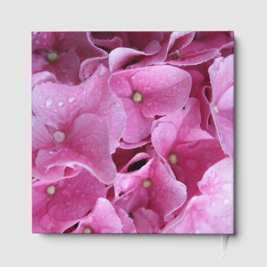 Journal - Pink Hydrangea Blume - Gästebuch (Rückseite)