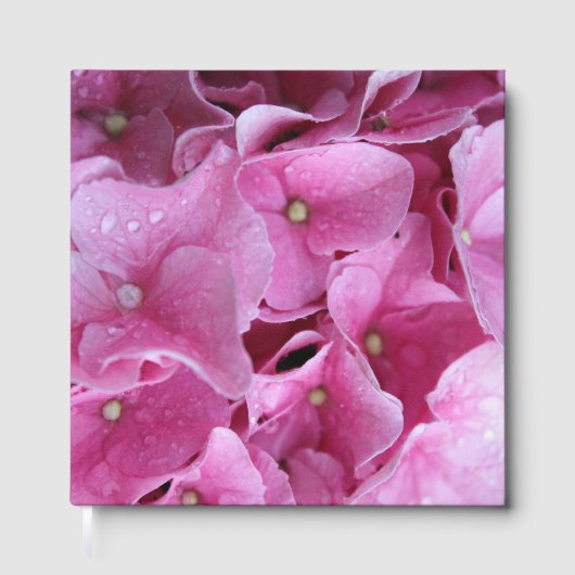Journal - Pink Hydrangea Blume - Gästebuch (Vorderseite)