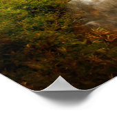 Journey Poster (Ecke)