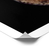 Jovian System Poster (Ecke)