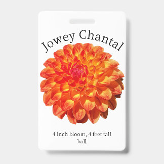 Jowey Chantal Dahlia ID Abzeichen Ausweis