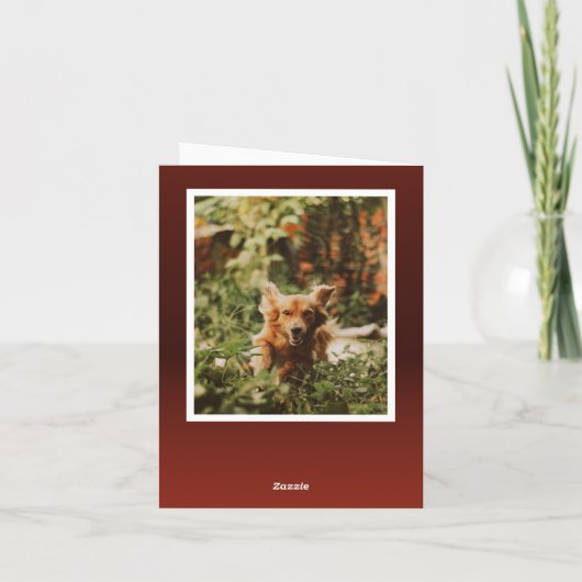 JOY 2 Foto Typografie Weihnachten (Rückseite)