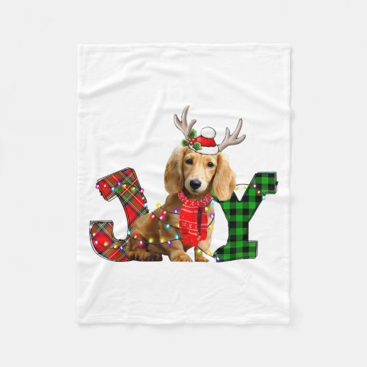 Joy Christmas Lights Long Haired Dachshund Dog San Fleecedecke (Vorderseite)