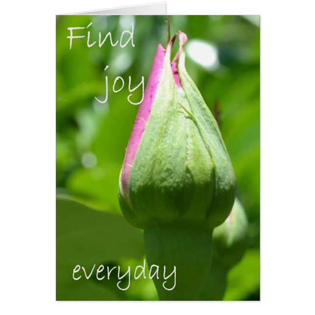Joy Everyday (Vorne)
