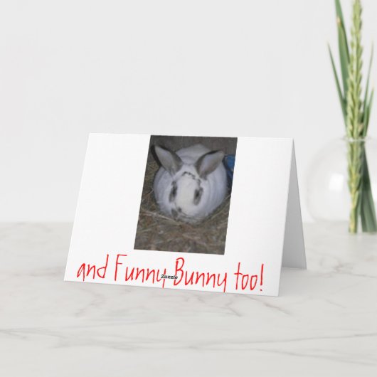 JOY-Haustiere Feiertagskarte (Rückseite)