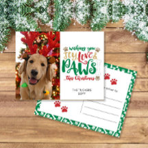 Joy Liebe Paws Dog Red Green Foto