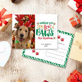 Joy Liebe Paws Dog Red Green Foto Postkarte