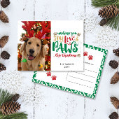 Joy Liebe Paws Dog Red Green Foto Postkarte