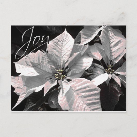 Joy Postkarte (Vorderseite)