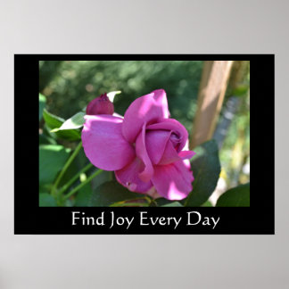 Joy Rose Inspiration Poster suchen