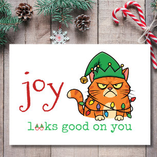 Joy sieht gut aus bei dir Annoyed Christmas Cat Feiertagskarte