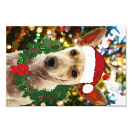 Joy to the Puppy Fotodruck