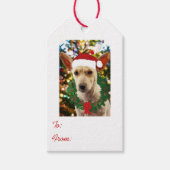 Joy to the Puppy Geschenkanhänger (Vorderseite)