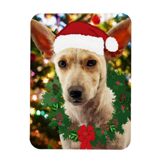 Joy to the Puppy Magnet (Vertikal)