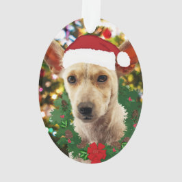 Joy to the Puppy Ornament
