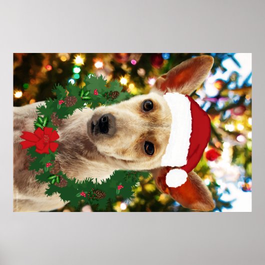 Joy to the Puppy Poster (Vorne)