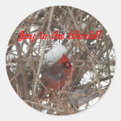 Joy to the World Red Male Kardinal Stickers (Vorderseite)