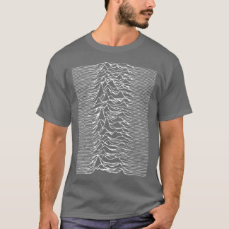 JOY UNKNOWN PLEASURE DIVISION funny T-Shirt