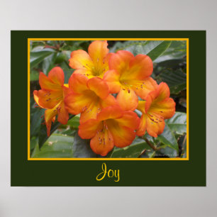 Joy Zen Meditation Orange Blume Foto Templat Poster