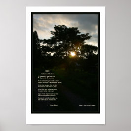 Joyce Kilmer Gedicht Trees 8 1/2 x 11 Poster
