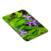 Joyce Kilmer-Slickrock Wilderness 2 Magnet (Rechte Seite)