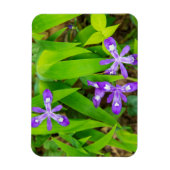 Joyce Kilmer-Slickrock Wilderness 2 Magnet (Vertikal)