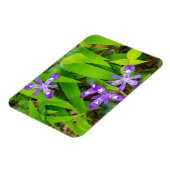 Joyce Kilmer-Slickrock Wilderness 2 Magnet (Linke Seite)