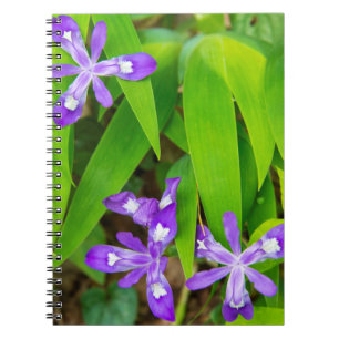 Joyce Kilmer-Slickrock Wilderness 2 Notizblock