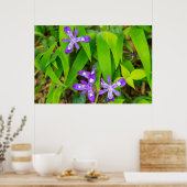 Joyce Kilmer-Slickrock Wilderness 2 Poster (Küche)
