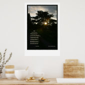 Joyce Kilmer Trees 24 x 36 Poster (Küche)