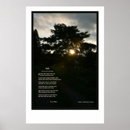 Joyce Kilmer Trees 24 x 36 Poster