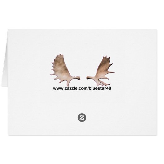 Joyeux Noё l - Birchbark (Rückseite Horizontal)