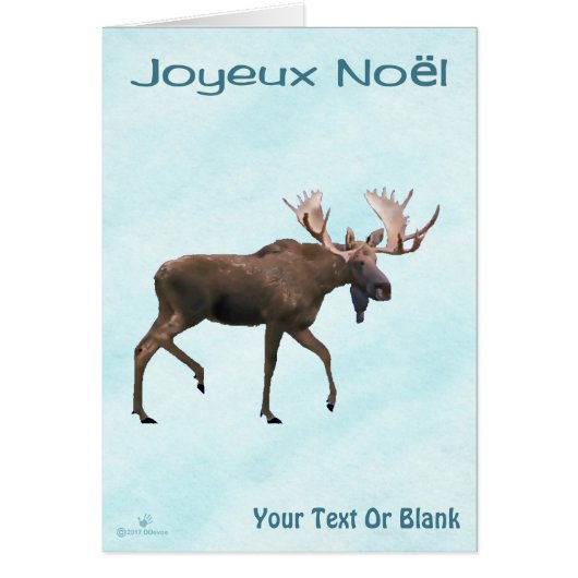 Joyeux Noё l - Bull Moose On Snow (Vorne)
