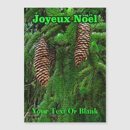 Joyeux Noё l - Cones and Needles Magnetkarte (Vorderseite)