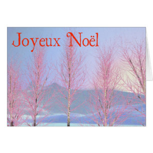 Joyeux Noё l - Raspberry Creme Birch