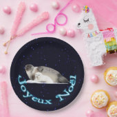 Joyeux Noё l - Ringed Siegel Pappteller (Party)