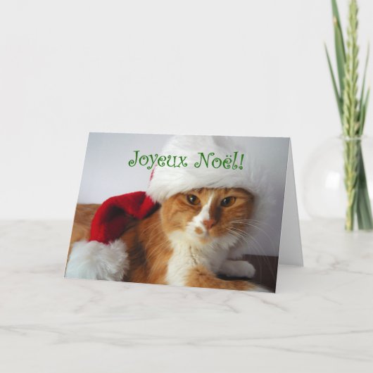 Joyeux Noël - Cat Wearing-Weihnachtsmannmütze Feiertagskarte (Vorderseite)