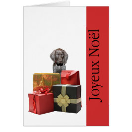 Joyeux Noël  german shorthaired pointer puppy