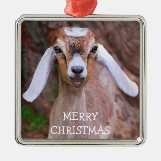 Joyful Baby Goat Weihnachten Ornament Aus Metall (Vorne)