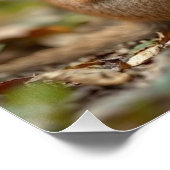 "Joyful Bond: Australian Mama and Baby Quokka" Poster (Ecke)