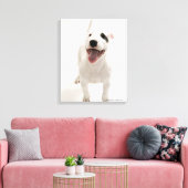 Joyful Bull Terrier Leinwanddruck (Insitu (Wohnzimmer))