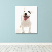 Joyful Bull Terrier Leinwanddruck (Insitu (Holzboden))
