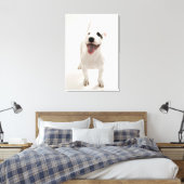 Joyful Bull Terrier Leinwanddruck (Insitu (Schlafzimmer))