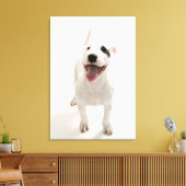 Joyful Bull Terrier Leinwanddruck (Insitu (Wohnzimmer))