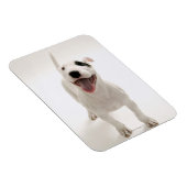 Joyful Bull Terrier Magnet (Rechte Seite)