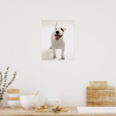Joyful Bull Terrier Poster (Küche)